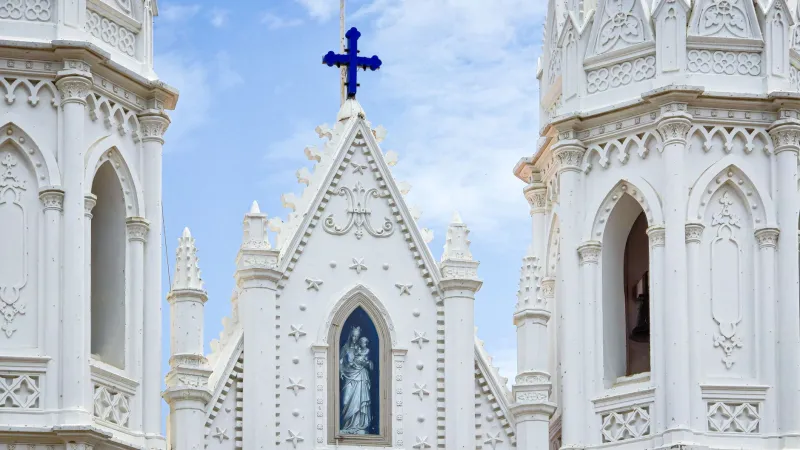 Witnesses We Forgot We Had: Recovering the Martyrs of Bihar for a Comfortable Western Church